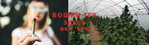 спиды Михайловка