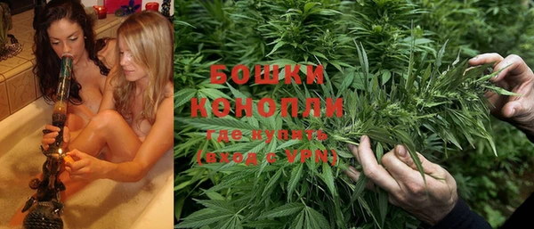 PSILOCYBIN Михайловск