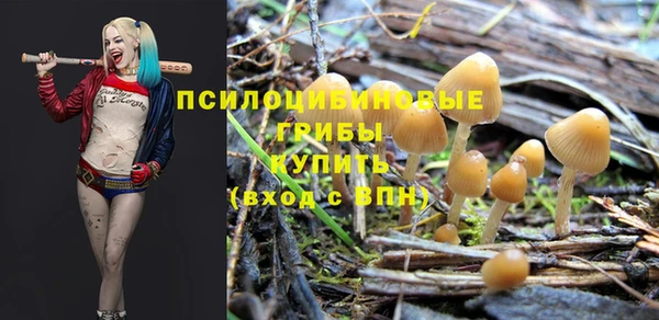 a pvp Михайлов