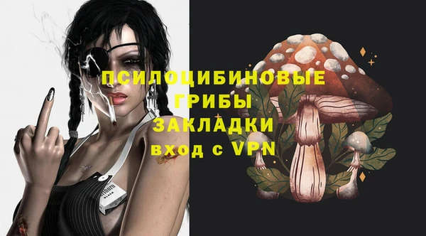 PSILOCYBIN Михайловск