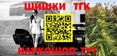 тгк Гусев
