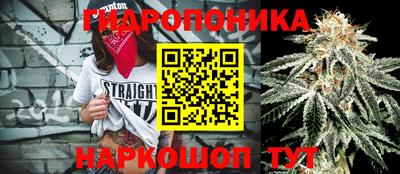 тгк Гусев