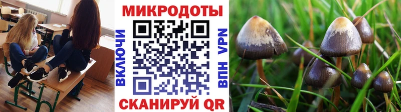 Галлюциногенные грибы мицелий  Серпухов 
